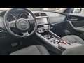 Jaguar F-Pace R-Dynamic D180 AWD AUTO Blau - thumbnail 8