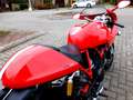 Ducati 1000 Sport classic , 1 er propriétaire ! Rouge - thumbnail 9