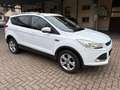 Ford Kuga 2.0 tdci Titanium 2wd s&s 120cv E6 OK NEOPATENTATO Wit - thumbnail 2