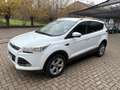 Ford Kuga 2.0 tdci Titanium 2wd s&s 120cv E6 OK NEOPATENTATO Wit - thumbnail 1