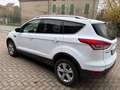 Ford Kuga 2.0 tdci Titanium 2wd s&s 120cv E6 OK NEOPATENTATO Wit - thumbnail 4