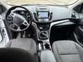Ford Kuga 2.0 tdci Titanium 2wd s&s 120cv E6 OK NEOPATENTATO Wit - thumbnail 7
