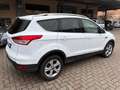 Ford Kuga 2.0 tdci Titanium 2wd s&s 120cv E6 OK NEOPATENTATO Wit - thumbnail 3