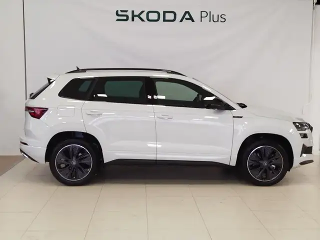 Skoda Karoq view 3