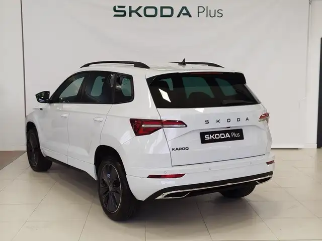 Skoda Karoq view 2