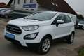 Ford EcoSport Business Weiß - thumbnail 6