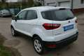 Ford EcoSport Business Weiß - thumbnail 5