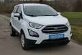 Ford EcoSport Business Weiß - thumbnail 2