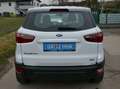 Ford EcoSport Business Weiß - thumbnail 4