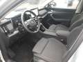 Skoda Kodiaq 2.0 TDI DSG 4x4 SELECTION *AHK *MATRIX *ACC *RKAM Silber - thumbnail 9