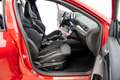 Ford Focus Sportbreak 2.3 Ecoboost ST Фіолетовий - thumbnail 15