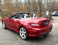 Mercedes-Benz SLK 200 BlueEf. Roadster AMG Line*Temp*H&K S.Sys Rot - thumbnail 14