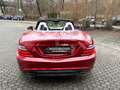Mercedes-Benz SLK 200 BlueEf. Roadster AMG Line*Temp*H&K S.Sys Rot - thumbnail 12