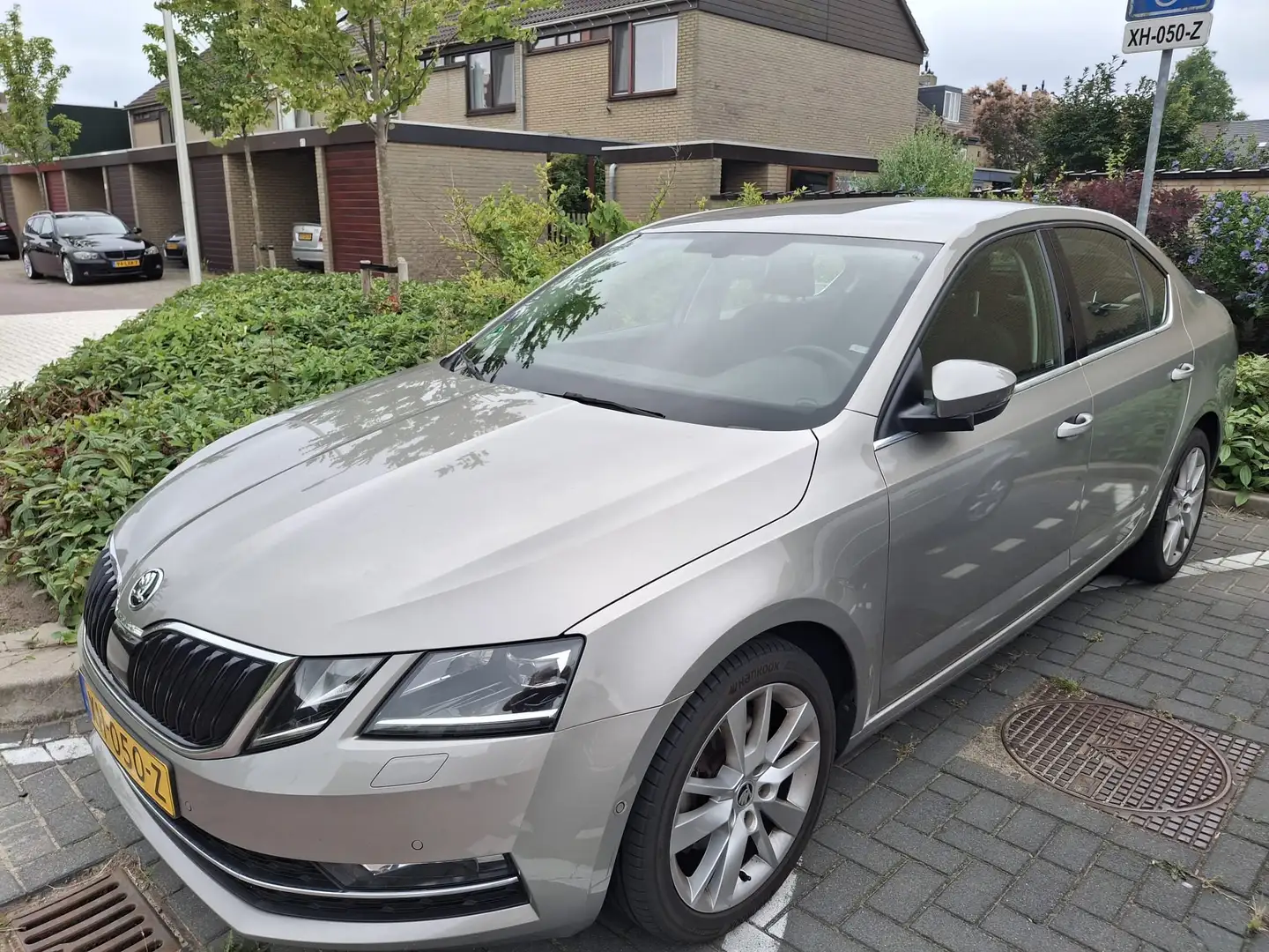 Skoda Octavia Octavia 1.5 TSI Grt Sty. Bns - 2