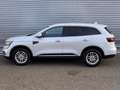 Renault Koleos Intens 4x4 Weiß - thumbnail 5