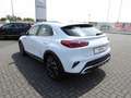 Kia XCeed 1.5 T-GDI OPF DCT7 VISION | NAVI | GARANTIE Weiß - thumbnail 4