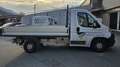 Fiat Ducato Cassonato Bianco - thumbnail 1