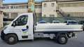 Fiat Ducato Cassonato Bianco - thumbnail 2