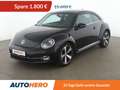 Volkswagen Beetle 1.4 TSI Sport*NAVI*XENON*TEMPO*PDC* Schwarz - thumbnail 1
