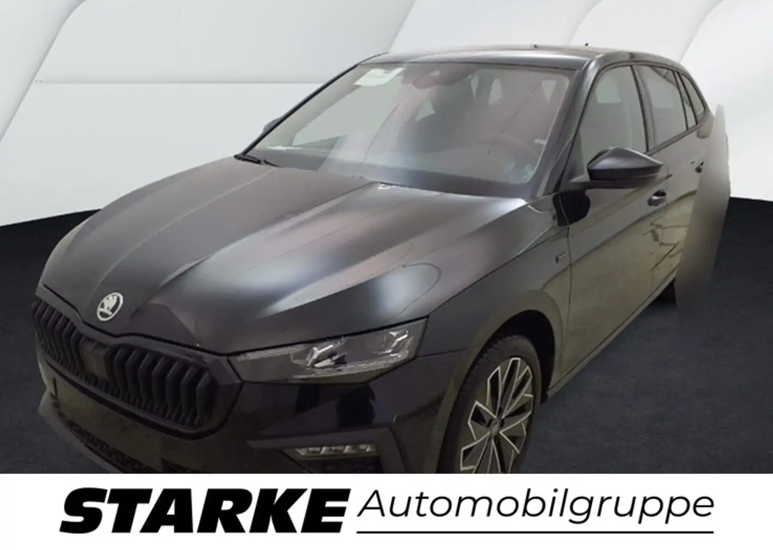 Skoda Selection Чёрный - 1