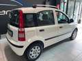Fiat Panda 1.2 Dynamic GPL Blanc - thumbnail 3