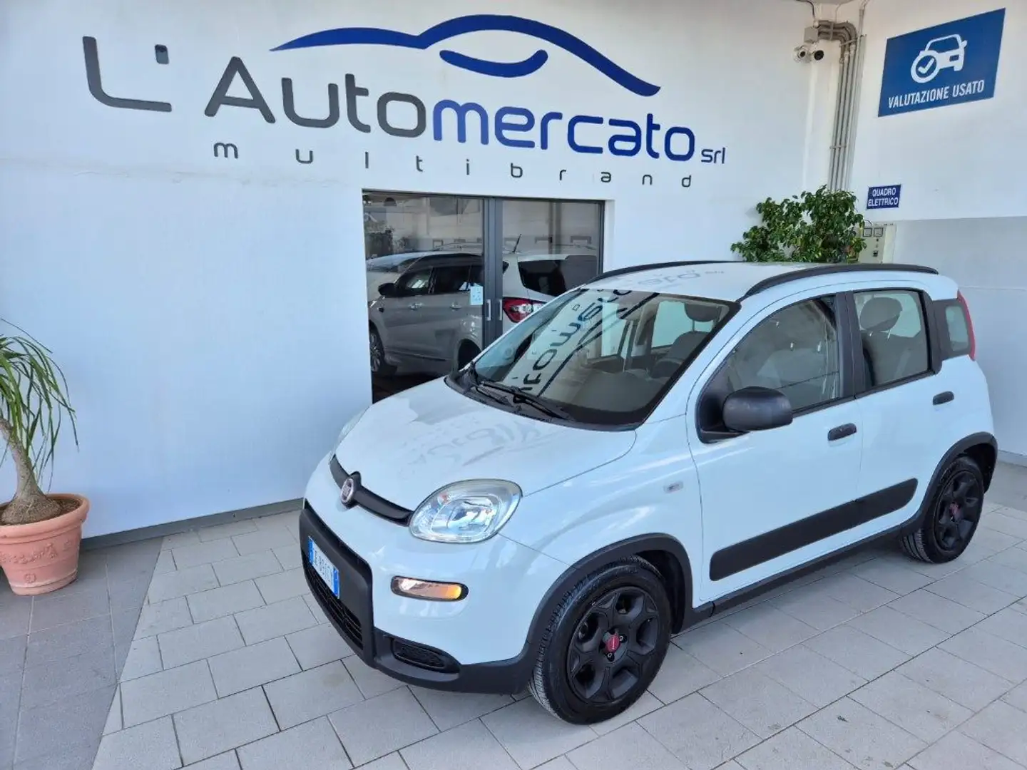 Fiat Panda 1.0 FireFly S&S Hybrid City Life Bianco - 1