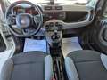 Fiat Panda 1.0 FireFly S&S Hybrid City Life Bianco - thumbnail 10