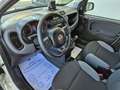 Fiat Panda 1.0 FireFly S&S Hybrid City Life Bianco - thumbnail 6