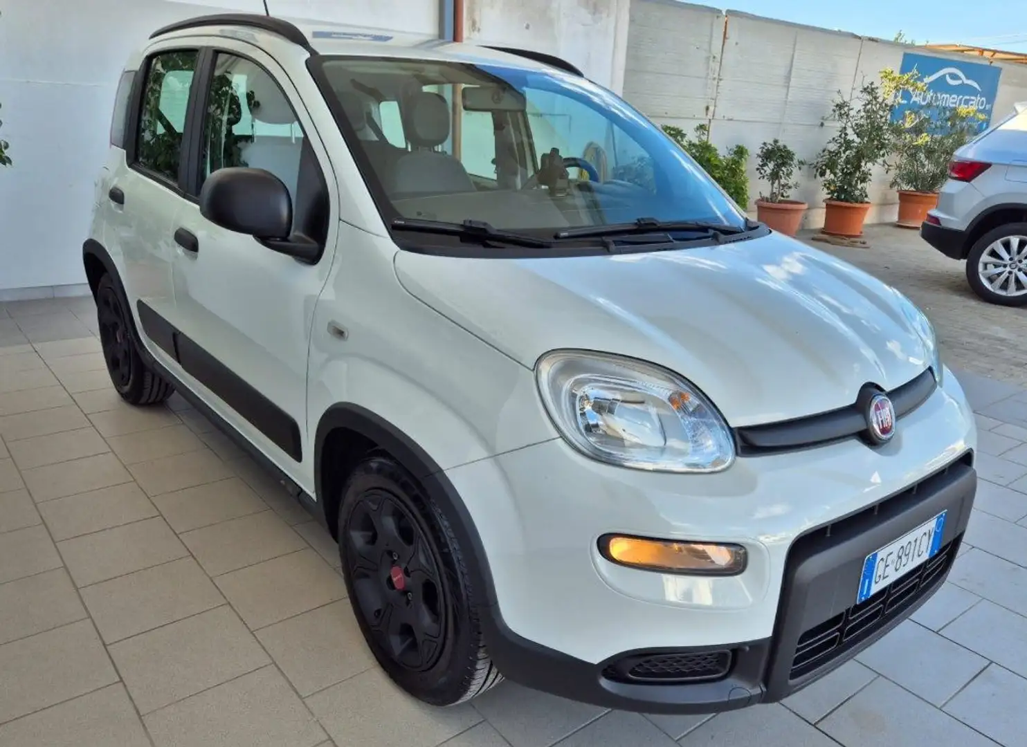 Fiat Panda 1.0 FireFly S&S Hybrid City Life Bianco - 2