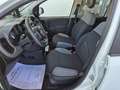 Fiat Panda 1.0 FireFly S&S Hybrid City Life Bianco - thumbnail 5