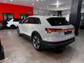 Audi e-tron 50 quattro Beige - thumbnail 5