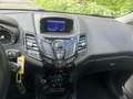 Ford Fiesta 1.0 EcoB. Titanium |LEDER|NAVI|START&STOP| Albastru - thumbnail 15