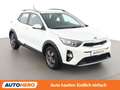 Kia Stonic 1.2 Österreich Edition Weiß - thumbnail 8