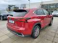 Lexus NX 300 h Panorama Leder Rot - thumbnail 2