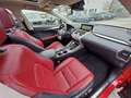 Lexus NX 300 h Panorama Leder Rot - thumbnail 3