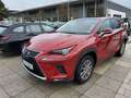 Lexus NX 300 h Panorama Leder Rot - thumbnail 1