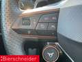 CUPRA Formentor 2.0 TSI DSG 4Drive VZ 19 DCC AHK PANO Rot - thumbnail 21