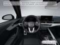 Audi RS4 tiptr. 280km/h /SDiff/Pano/ACC Grau - thumbnail 14