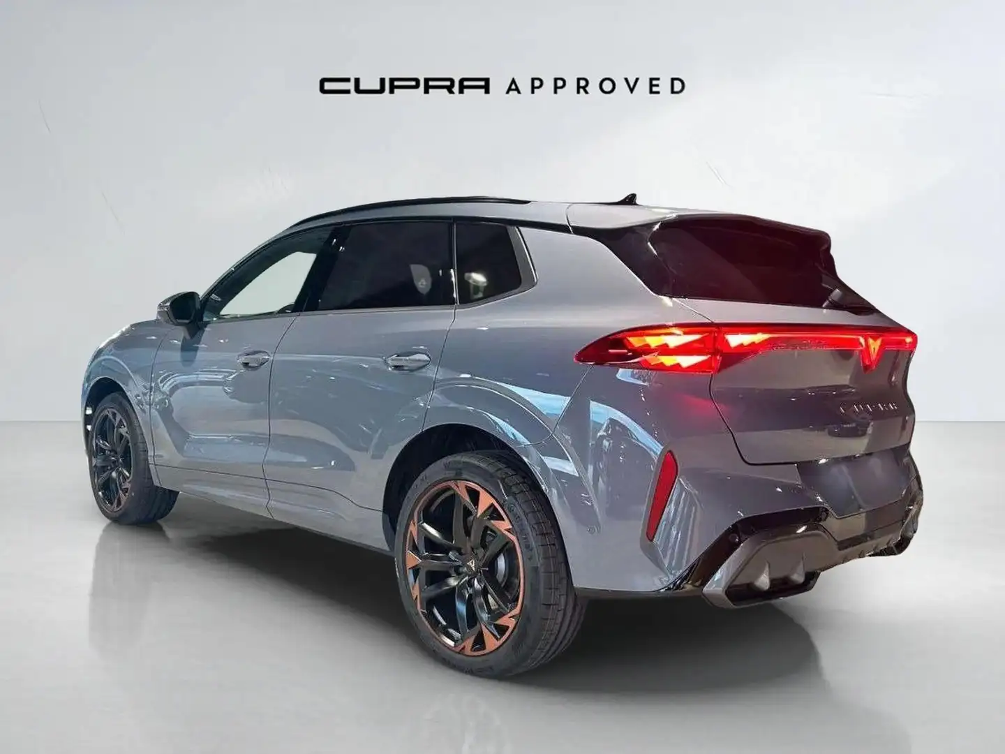 CUPRA Terramar 2.0 TSI VZ 195kW DSG 4Drive Gris - 2