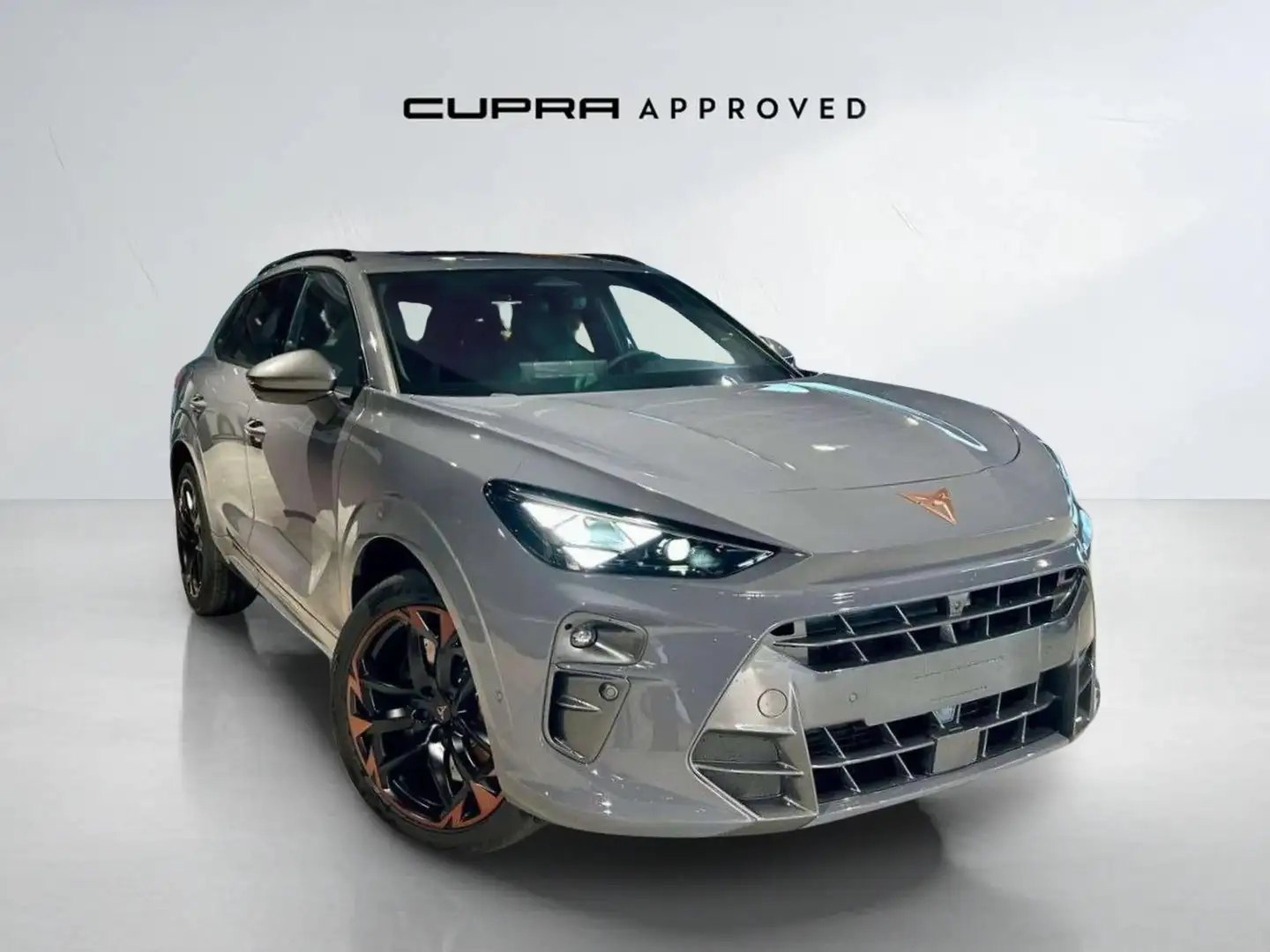 CUPRA Terramar 2.0 TSI VZ 195kW DSG 4Drive Gris - 1