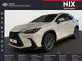 Lexus NX 350h 2.5 Hybrid Executive Line NAVI Weiß - thumbnail 1