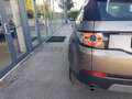 Land Rover Discovery Sport Discovery Sport 2.0 td4 SE awd 150cv auto Beige - thumbnail 19