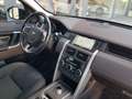 Land Rover Discovery Sport Discovery Sport 2.0 td4 SE awd 150cv auto Beige - thumbnail 7