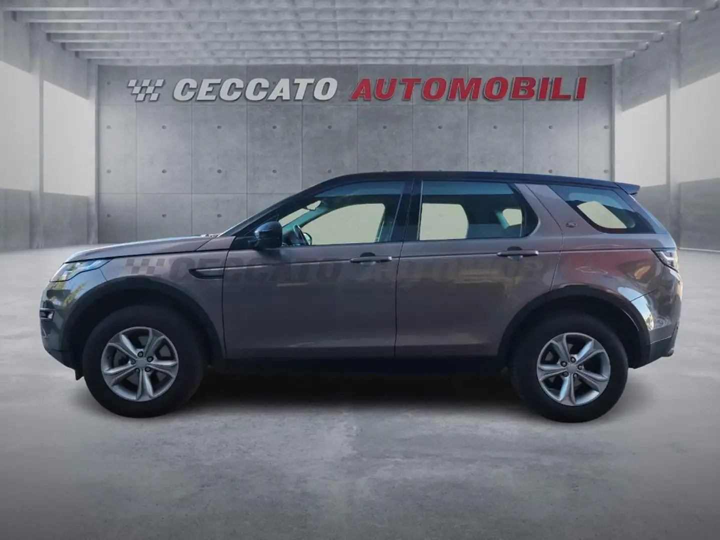 Land Rover Discovery Sport Discovery Sport 2.0 td4 SE awd 150cv auto Beige - 2