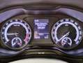 Skoda Karoq Karoq 2.0 tdi Ambition 4x4 Argento - thumbnail 13