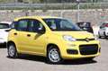 Fiat Panda 1.0 FireFly S&S Hybrid NUOVO Giallo - thumbnail 8