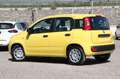 Fiat Panda 1.0 FireFly S&S Hybrid NUOVO Giallo - thumbnail 6