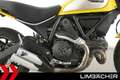 Ducati Scrambler ICON - Termignoni-Auspuff Gelb - thumbnail 21