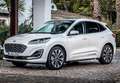Ford Kuga 1.5 EcoBoost ST-Line X FWD 150 - thumbnail 10