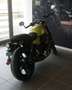 Moto Guzzi V 7 SPORT EURO 5+ Verde - thumbnail 5